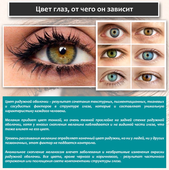 Come cambiare il colore degli occhi. Quali sono i colori, chirurgia da cambiare, gocce con gli ormoni