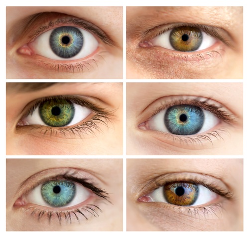 Hoe de oogkleur te veranderen. Wat zijn de kleuren, operatie om te veranderen, druppels met hormonen