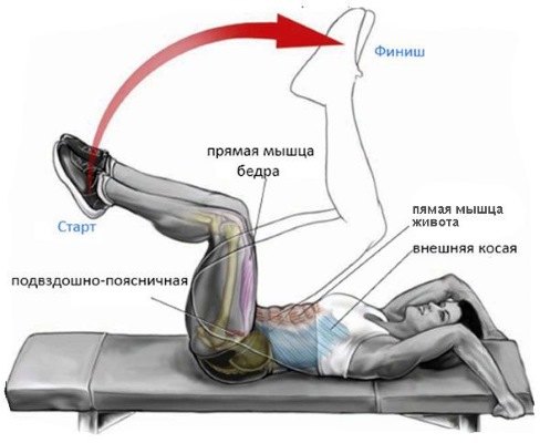 Un ensemble d'exercices pour la presse, réduction abdominale pour les femmes, sur les côtés et les jambes à la maison