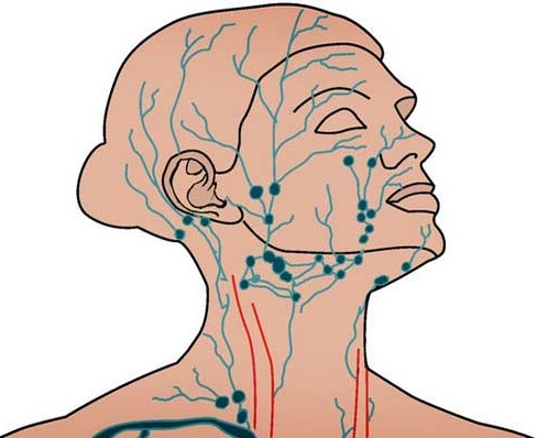 Massatge de drenatge limfàtic per a la cara i el cos. Maquinari i tècnica manual, com fer-ho a casa