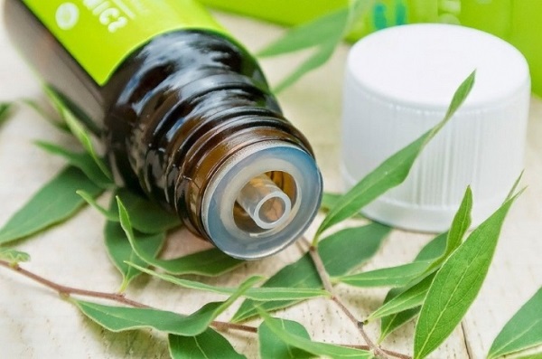 Olio di neem. Proprietà e applicazione, benefici in cosmetologia per il ringiovanimento del viso