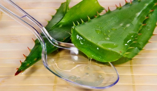 L'huile de neem. Propriétés et application, bienfaits en cosmétologie pour le rajeunissement du visage