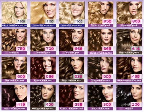 Mousse rambut: pewarna, untuk gaya, kelantangan, pewarnaan, warna. Palette Schwarzkopf, Loreal, Mousse Perfect, Wellaton