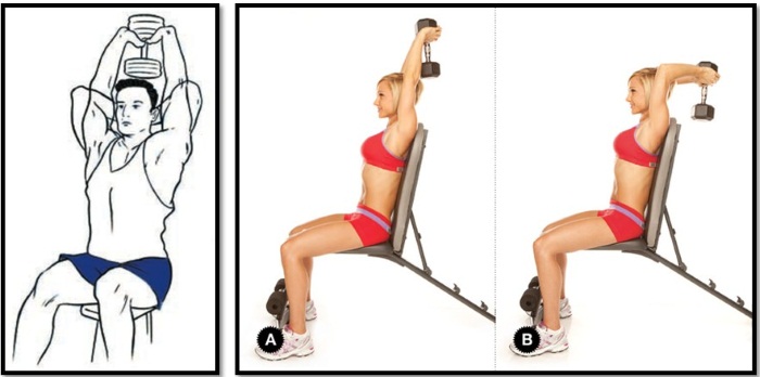 Exercicis de tríceps amb peses per a dones. Complex per a principiants a casa i al gimnàs