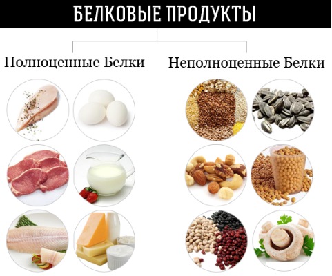 Les aliments les plus protéinés. Liste pour perte de poids, gain de poids, renforcement musculaire, maternité, végétariens