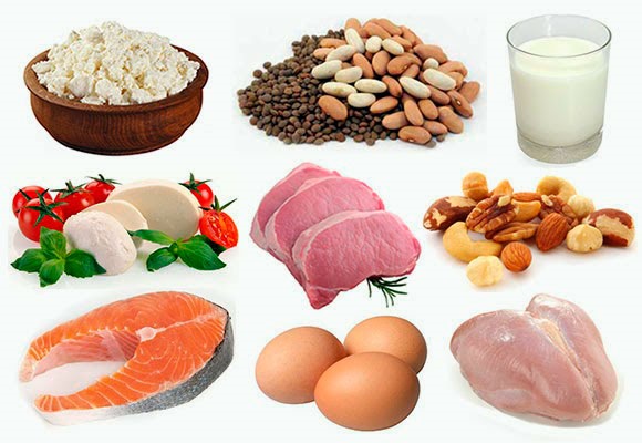 The most protein foods. List for weight loss, weight gain, muscle building, maternity, vegetarians