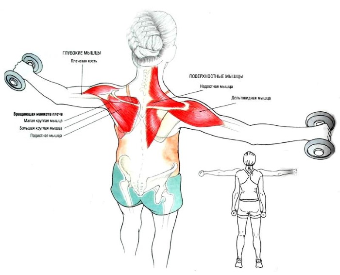 Hoe vetplooien op de rug in korte tijd te verwijderen. Oefening, dieet, massage