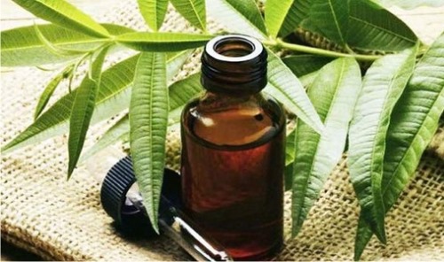 Oli essencial d’arbre del te per a l’acne, cicatrius, talons go-dereva-ot-pryschey-rubtsov-pyaten-shramov-na-litse-svoystva-i-pн, cicatrius facials. Propietats i aplicació