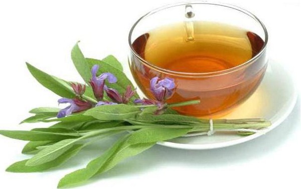 Tea tree essential oil for acne, scars, heels go-dereva-ot-pryschey-rubtsov-pyaten-shramov-na-litse-svoystva-i-pн, scars on the face. Properties and application