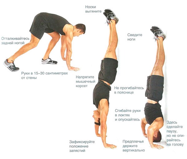 Floor push-up programma voor beginners. Tafel voor het verkrijgen van spiermassa, afvallen, pompen van borstspieren, voor alle spieren van het lichaam