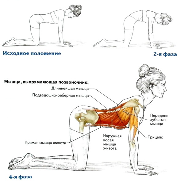 Exercícios para o abdômen e laterais para retirar gordura da cintura. Exercícios eficazes em casa