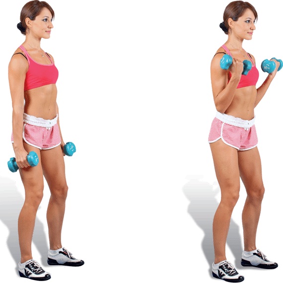Exercícios com halteres para as costas. Programa de treinamento para tensionar os músculos, com hérnia da coluna, escoliose, osteocondrose