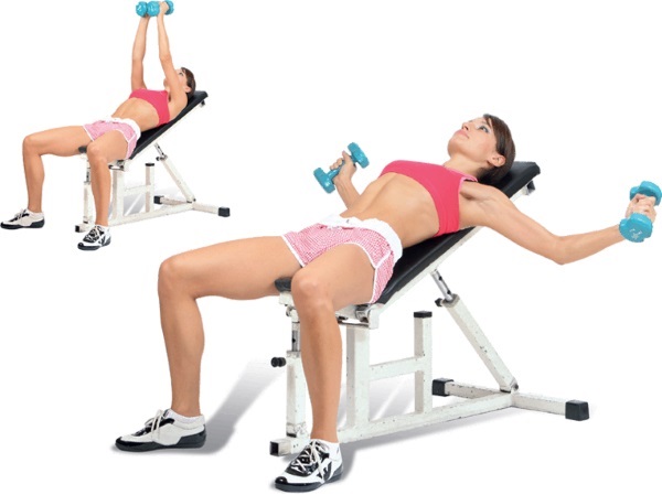 Grundläggande övningar i gymmet för tjejer för alla muskelgrupper, viktminskning