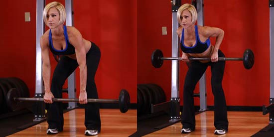 Exercícios básicos na academia para meninas para todos os grupos musculares, perda de peso