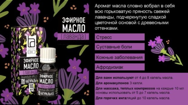 Minyak rambut lavender. Resipi untuk digunakan, dari kutu, nits, kandungan lemak, faedah, komposisi