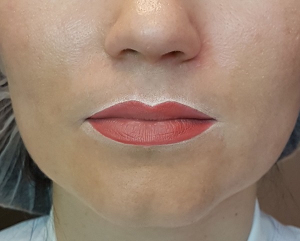 Permanentes Lippen Make-up mit Schattierung. Fotos vor und nach dem Eingriff, Preis
