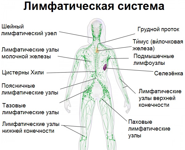Lymphatic drainage manual massage. Benefits, how to make yourself at home