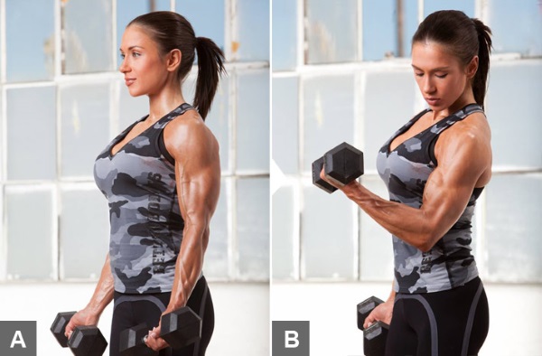 Oefeningen voor biceps in de sportschool voor meisjes zijn eenvoudig. Trainingsprogramma voor de week