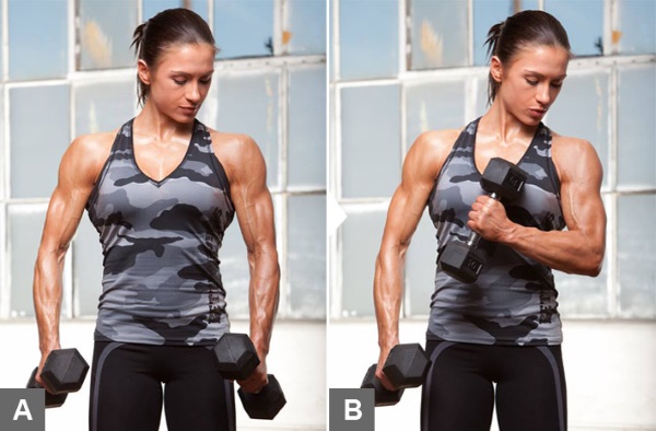 Oefeningen voor biceps in de sportschool voor meisjes zijn eenvoudig. Trainingsprogramma voor de week