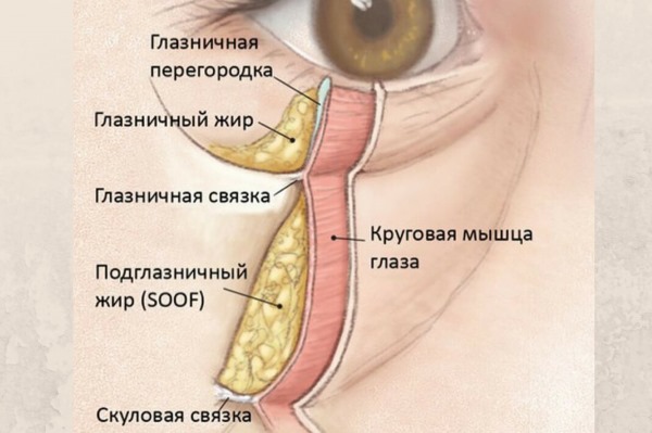 Kesan Tyndall dalam kosmetologi di bawah mata, pada kulit bibir. Apabila diperhatikan cara membuang