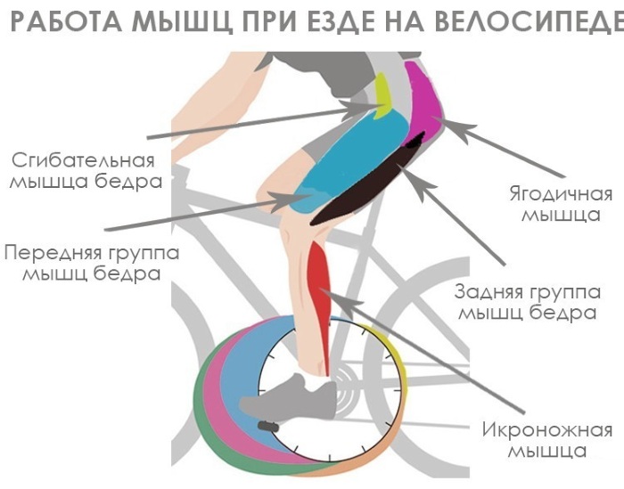 Een ritje op de fiets. Voordelen en nadelen voor mannen en vrouwen. Normeert hoeveel u moet rijden