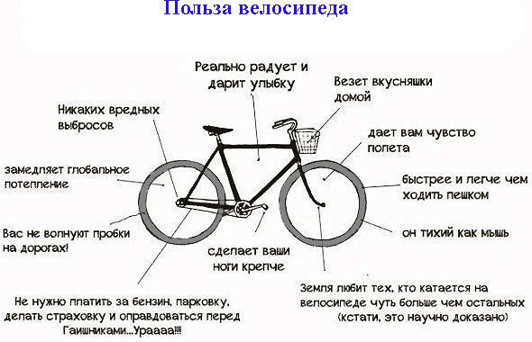 Een ritje op de fiets. Voordelen en nadelen voor mannen en vrouwen. Normeert hoeveel u moet rijden