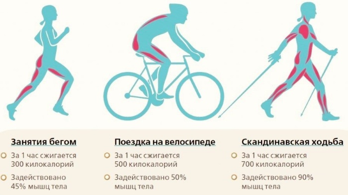 Une balade à vélo. Avantages et inconvénients pour les hommes et les femmes. Norme combien vous devez conduire