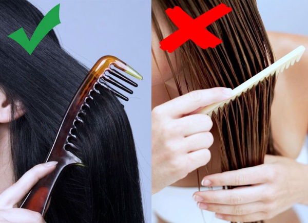 Los mejores peines de masaje para el cabello. Cómo elegir un profesional, precios y opiniones