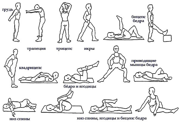 Exercicis per treure els laterals i el ventre per a les dones al gimnàs, a casa