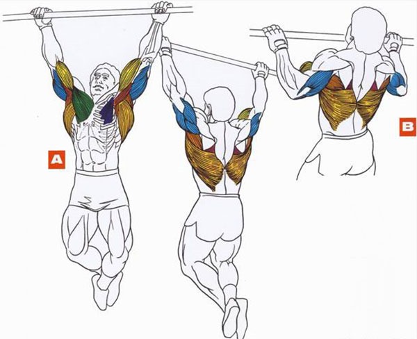 Pull-ups on the horizontal bar for women. Program up to 100 times, exercises on a bar with an elastic band