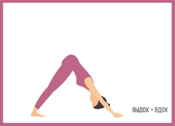 Sun Salutation is a set of exercises for beginners. The benefits of yoga, how to do