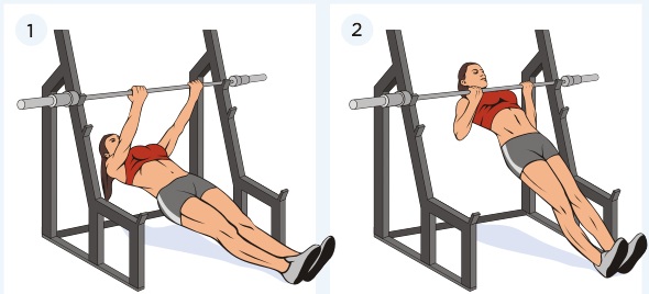 Exercicis per a bíceps amb i sense peses, sobre una barra horitzontal, amb una barra per a nenes. Programa casolà