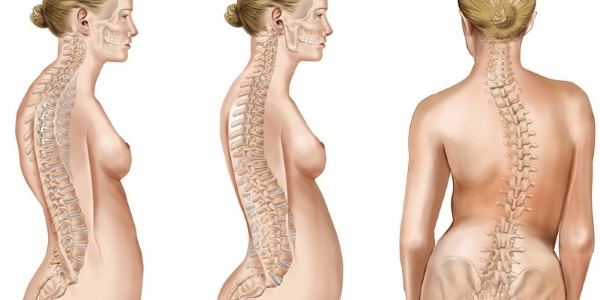 Ejercicios básicos con mancuernas para mujeres en hombros, espalda, piernas, todos los grupos musculares