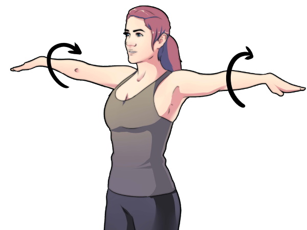 Esercizi di base con manubri per donne su spalle, schiena, gambe, tutti i gruppi muscolari