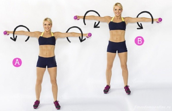 Basic exercises with dumbbells for women on the shoulders, back, legs, all muscle groups