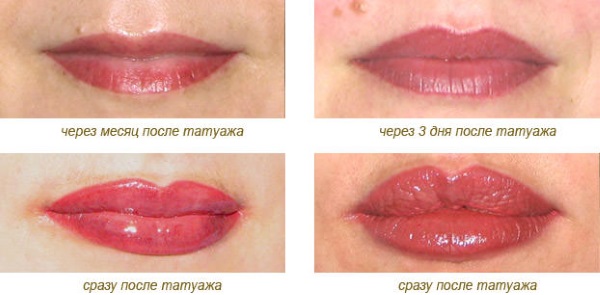 Tatu bibir. Sebelum dan selepas gambar, akibat, ulasan