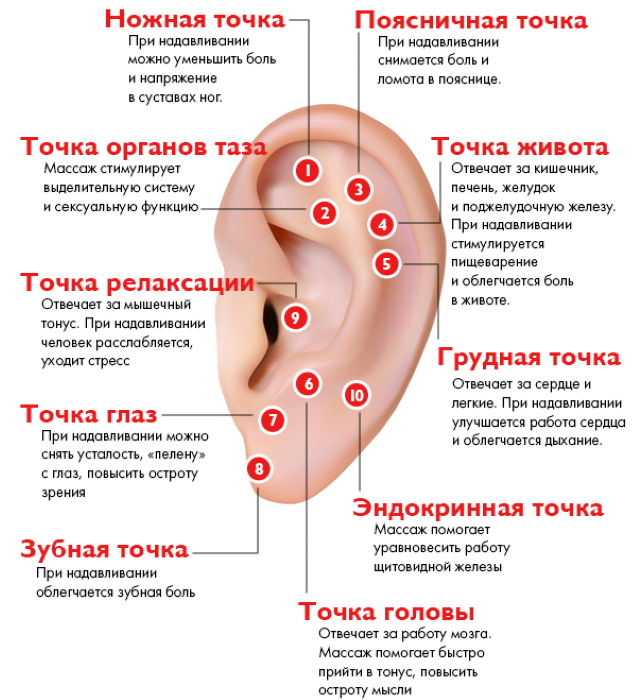Acupunctuurpunten op het menselijk lichaam. Atlas, foto, hoe acupressuur te doen