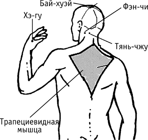 Akupunktūros taškai ant žmogaus kūno. Atlasas, nuotrauka, kaip atlikti akupresūrą