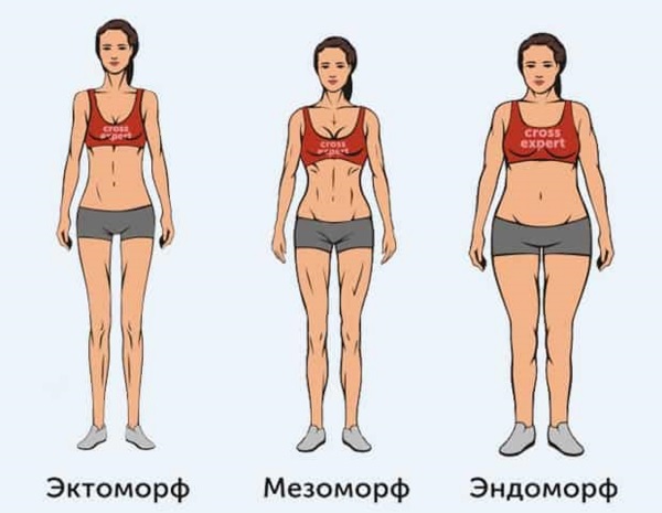 Tipos de cuerpo en la mujer: asténico, normosténico, hiperesténico, endomórfico. IMC como determinar