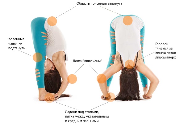 Latihan yoga sederhana untuk pemula, untuk penurunan berat badan, punggung dan tulang belakang