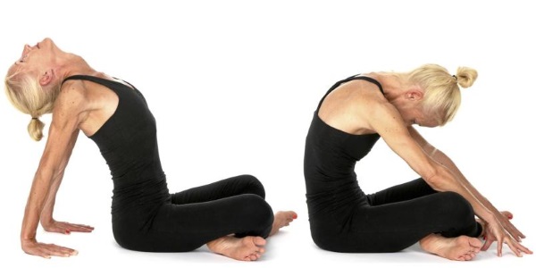 Exercicis de ioga senzills per a principiants, per aprimar, esquena i columna vertebral