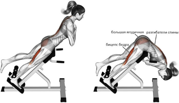 Hyperextension - entraîneur pour le dos, les abdominaux, le renforcement des muscles de la colonne vertébrale, la technique d'exécution