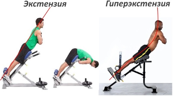 Hyperextension - trener for rygg, mage, styrke muskler i ryggraden, utførelsesteknikk