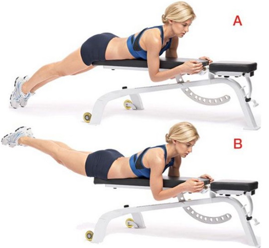 Hyperextension - trainer for the back, abs, strengthening the muscles of the spine, execution technique