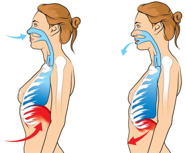Gimnàstica respiratòria bodyflex per aprimar l’abdomen i els laterals. Videotutorials, tècniques