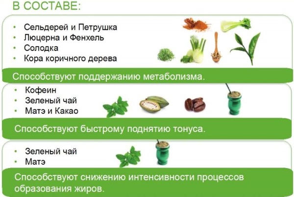 Thermo Complete Herbalife. Recensioni, istruzioni per l'uso, composizione, prezzo