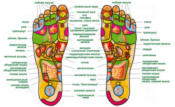 Points d'acupuncture sur le pied humain. Disposition de la jambe gauche, droite
