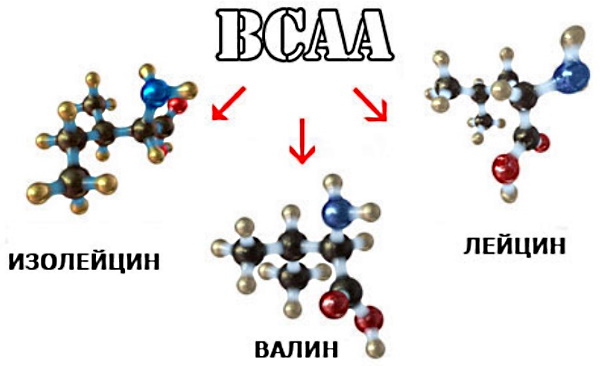 BCAA (BCAA). Cómo tomar polvo, tabletas, cápsulas, qué es, calificación de la mejor