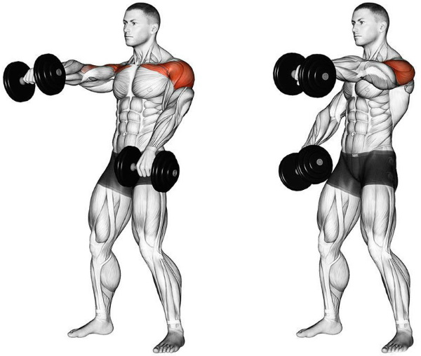 Levantando pesas frente a ti. Qué músculos funcionan, cómo hacerlo estando de pie, sentado, técnica