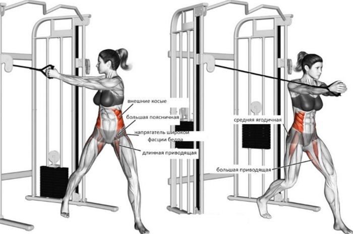 Ejercicios sobre los músculos oblicuos del abdomen para mujeres en casa, en el gimnasio.